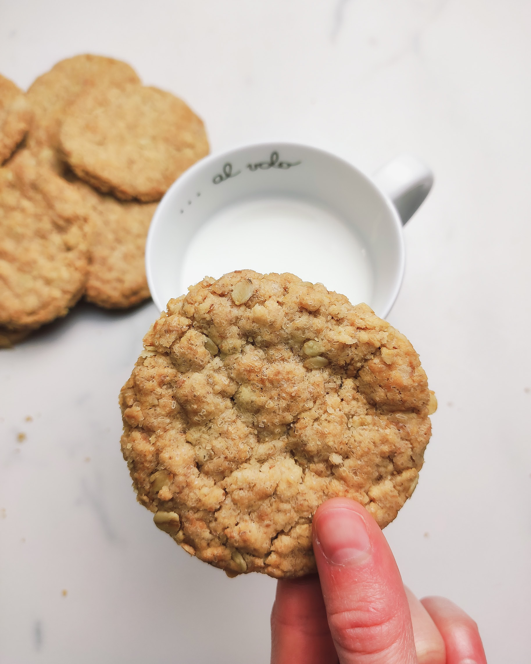 Biscotti proteici con avena ~ Posso farti una torta?